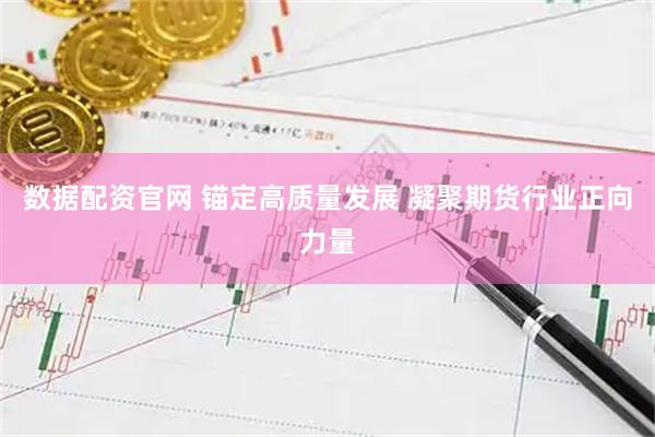数据配资官网 锚定高质量发展 凝聚期货行业正向力量