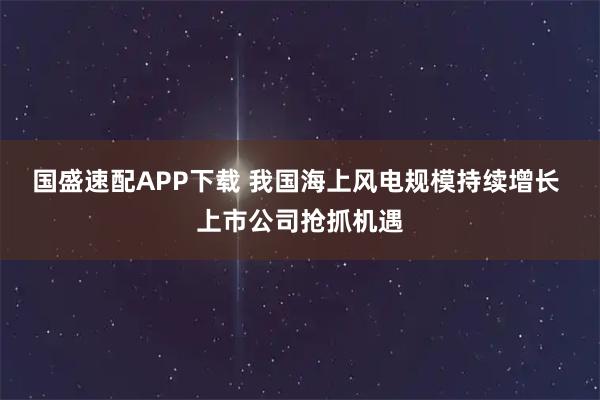 国盛速配APP下载 我国海上风电规模持续增长 上市公司抢抓机遇