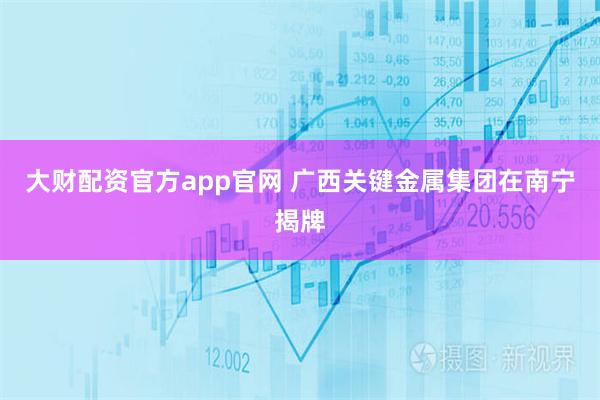大财配资官方app官网 广西关键金属集团在南宁揭牌